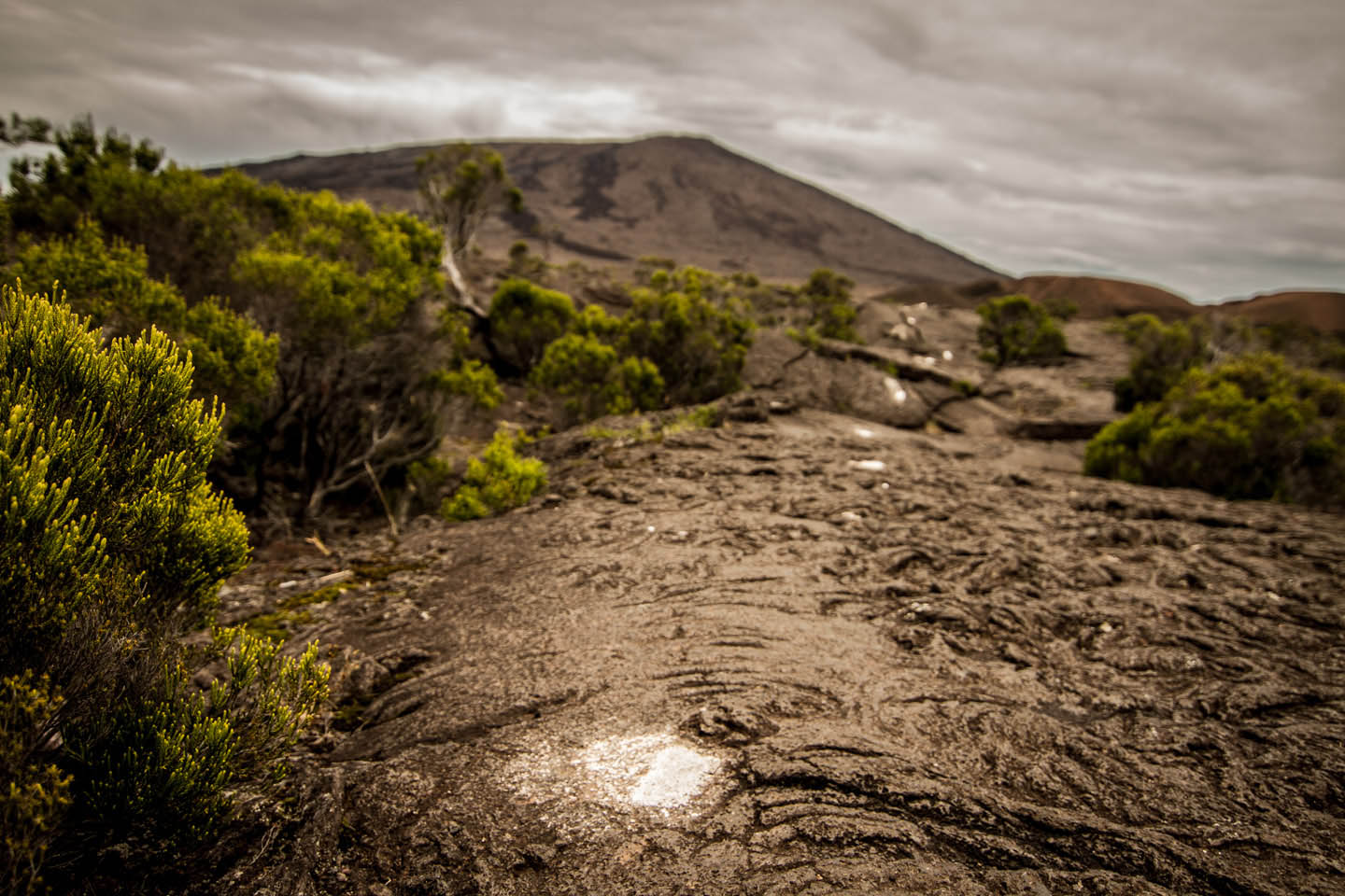 Piton de la Fournaise / La Réunion
